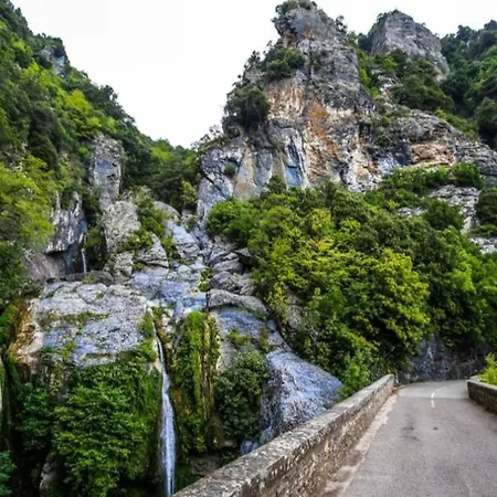 Amikad'o * San-Nicolao