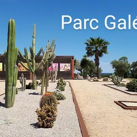 Amikad'o San-Nicolao