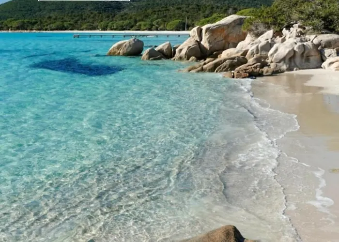 Amikad'o Appartamento *