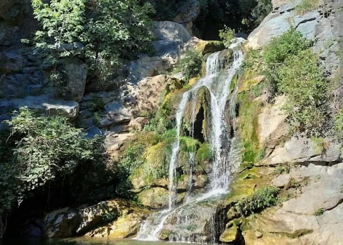 Amikad'o * San-Nicolao