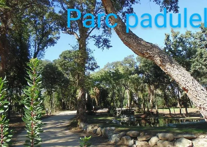 Amikad'o Apartamento