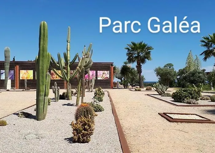 Amikad'o San-Nicolao