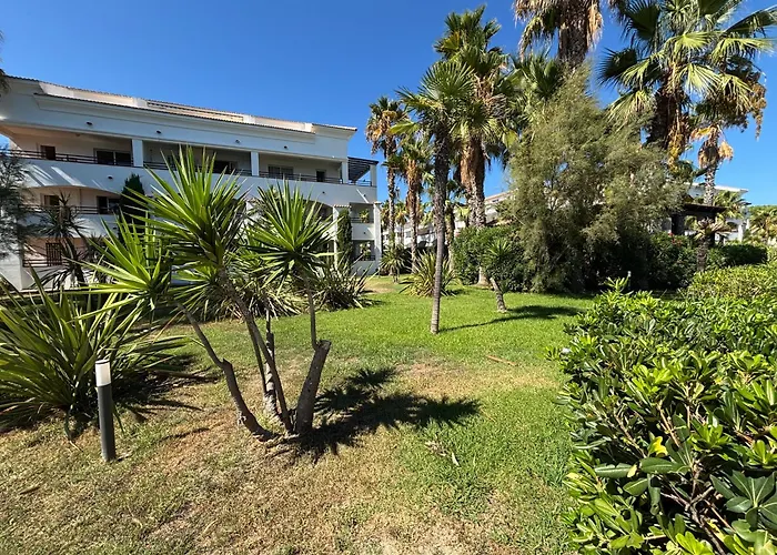 Amikad'o * San-Nicolao