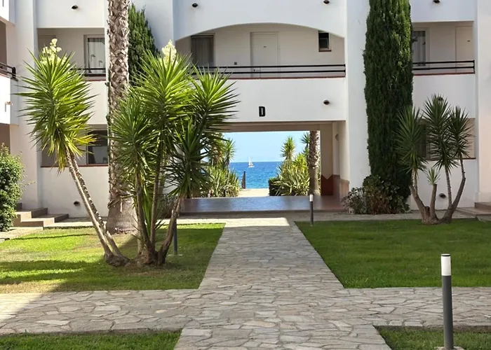 Amikad'o San-Nicolao